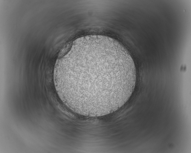 X0000110701250200907101212