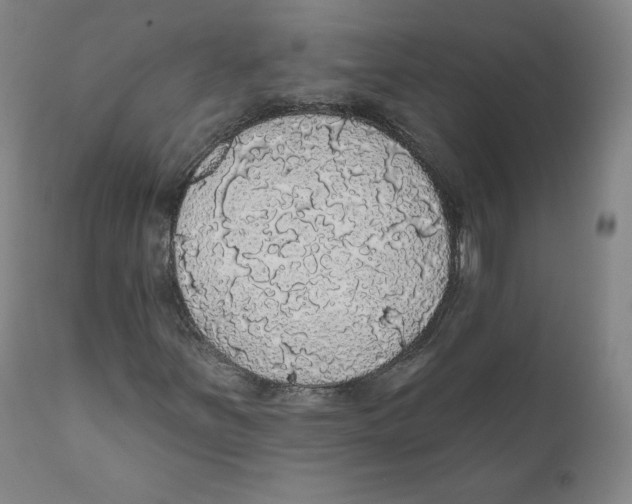 X0000110701251200907101212