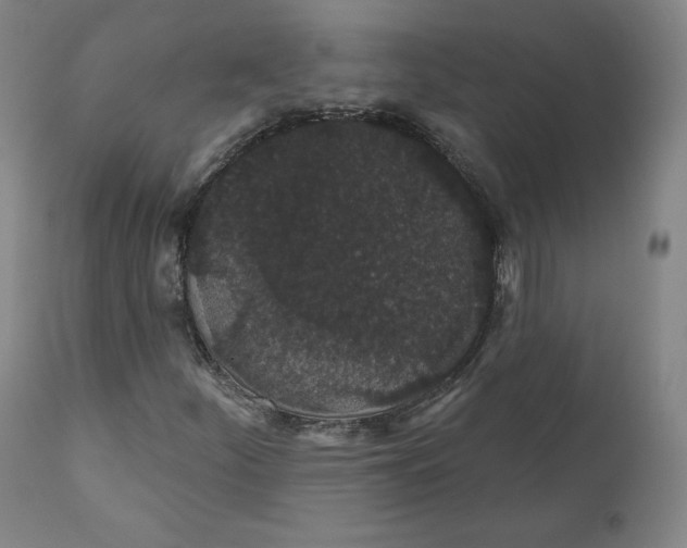 X0000110701252200907101212