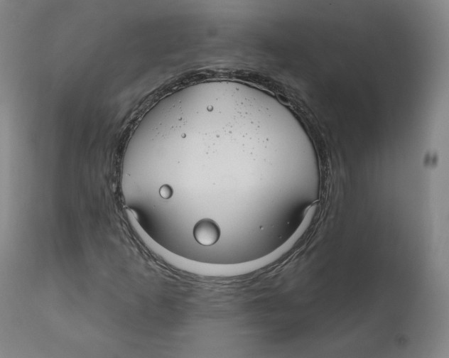 X0000110701253200907101212