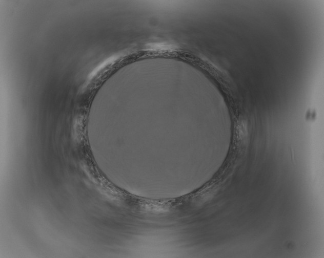 X0000110701254200907101212