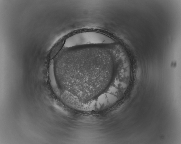 X0000110701256200907101212