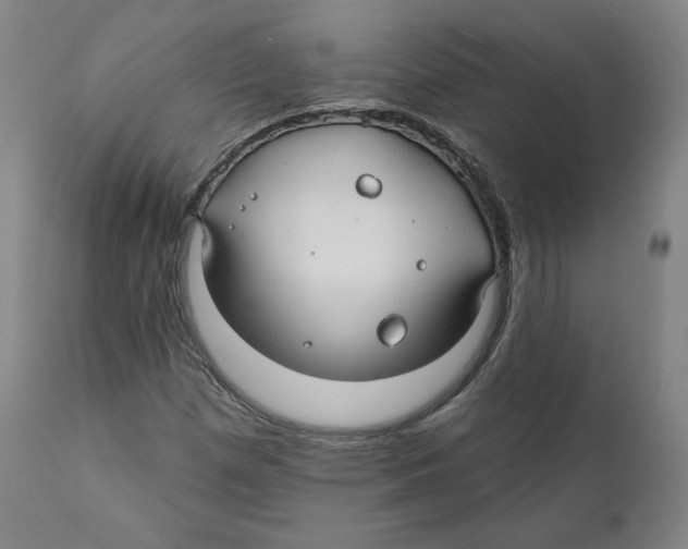 X0000110701257200907101212