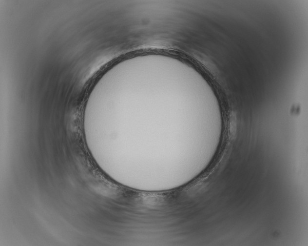 X0000110701258200907101212