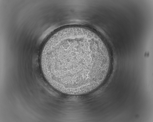 X0000110701259200907101212