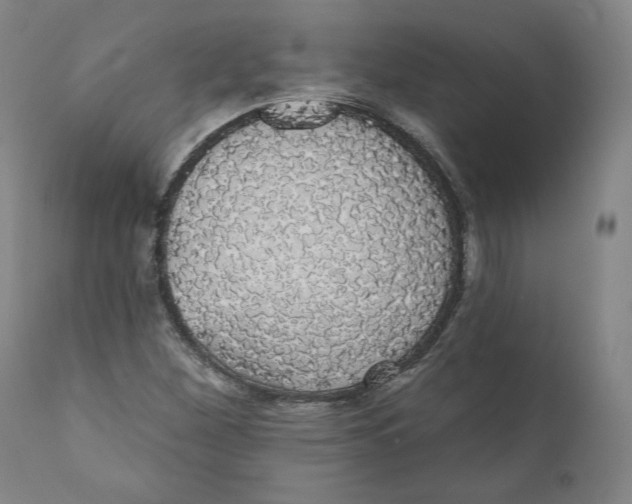 X0000110701260200907101212