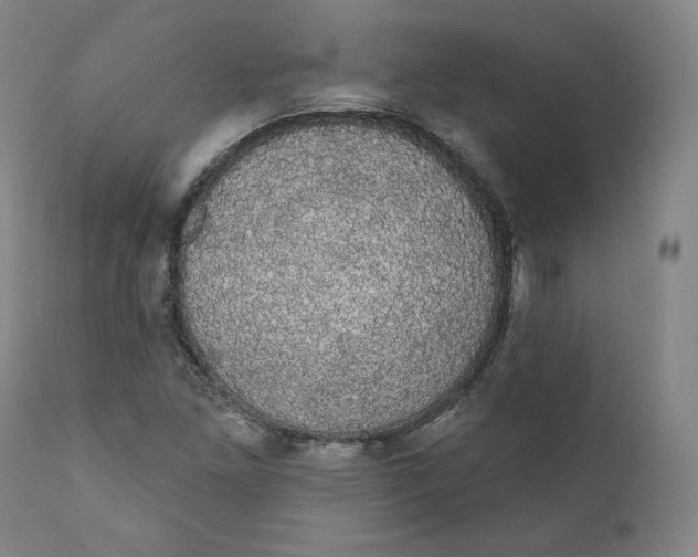 X0000110701261200907101212