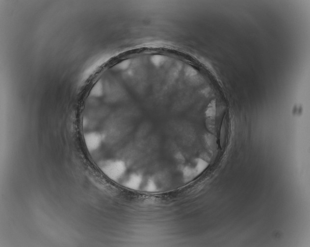 X0000110701263200907101212
