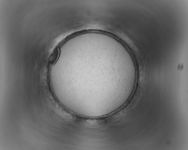X0000110701264200907101212