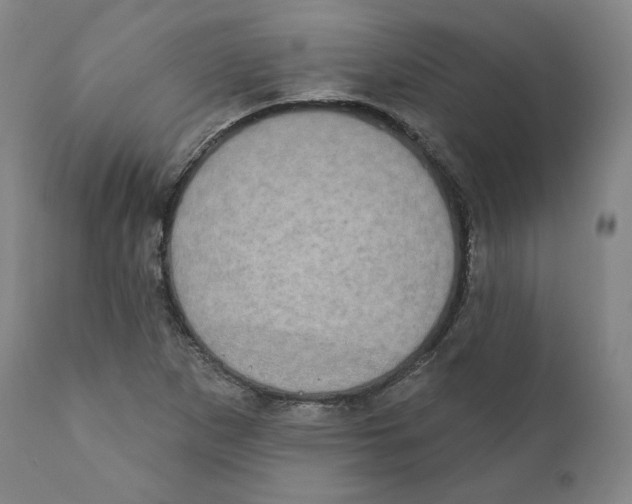 X0000110701265200907101212