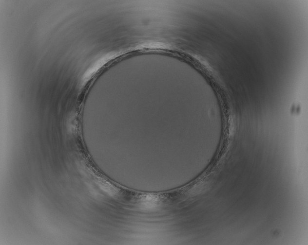 X0000110701266200907101212