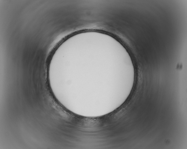 X0000110701270200907101212