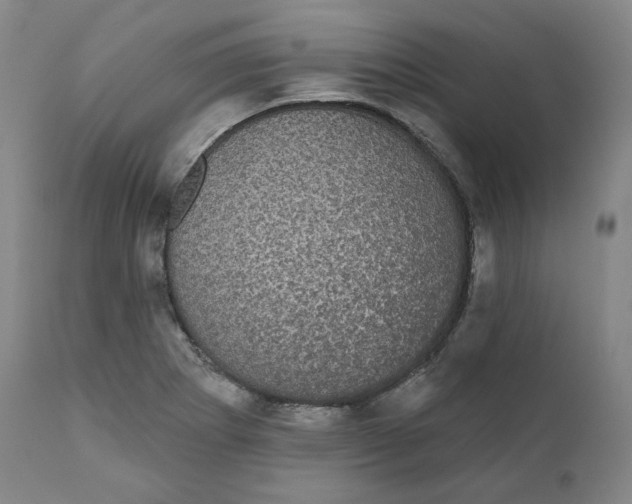 X0000110701273200907101212