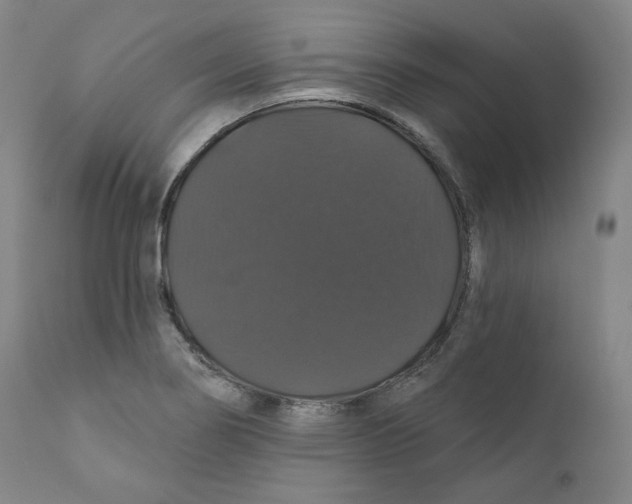 X0000110701274200907101212