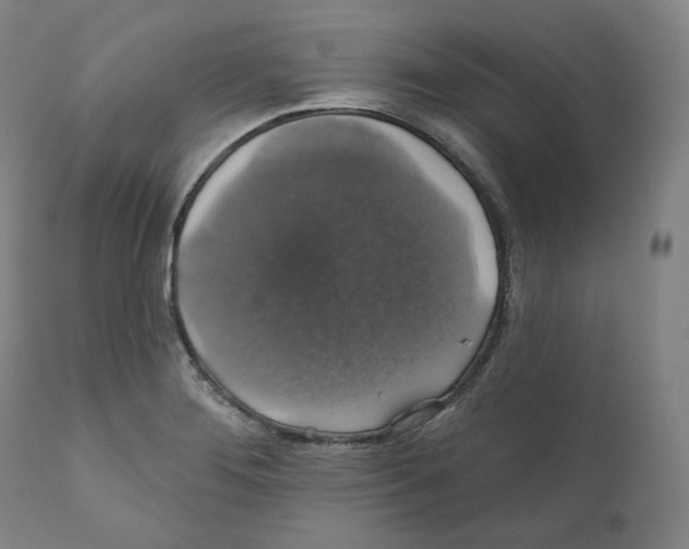 X0000110701276200907101212