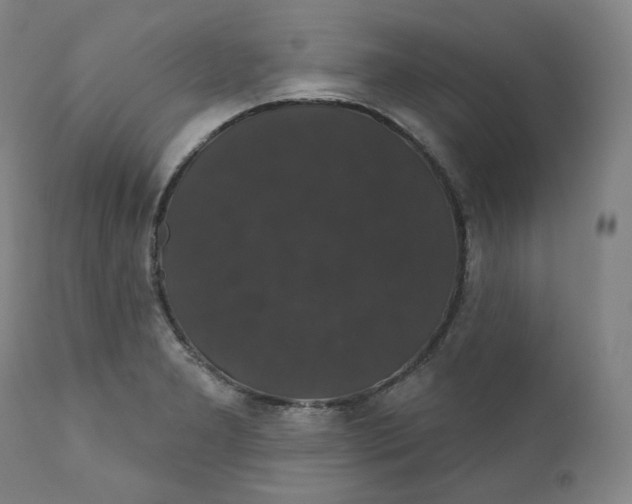 X0000110701277200907101212