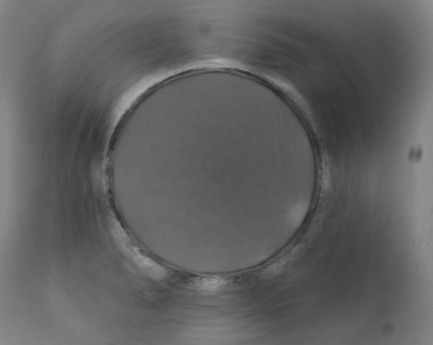 X0000110701278200907101212