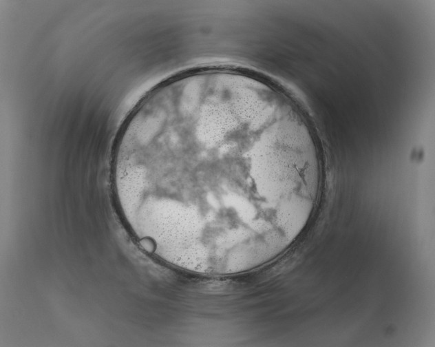 X0000110701279200907101212