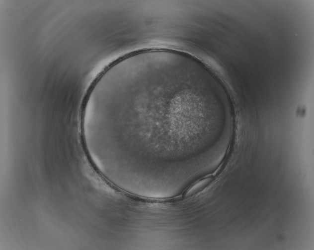 X0000110701280200907101212