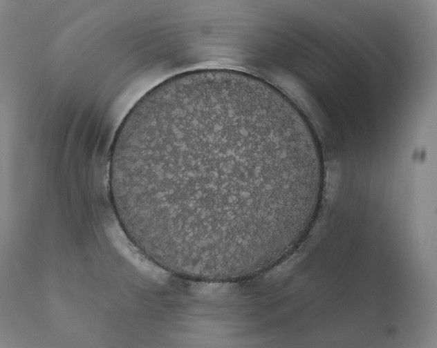 X0000110701284200907101212