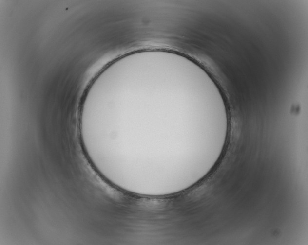 X0000110701286200907101212