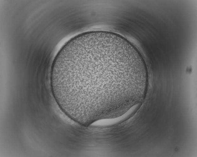 X0000110701288200907101212