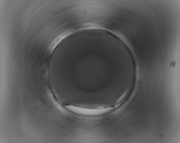 X0000110701289200907101212