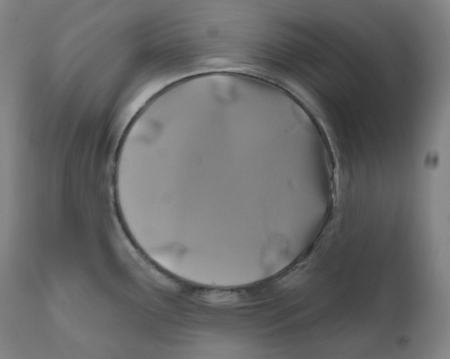 X0000110701291200907101212