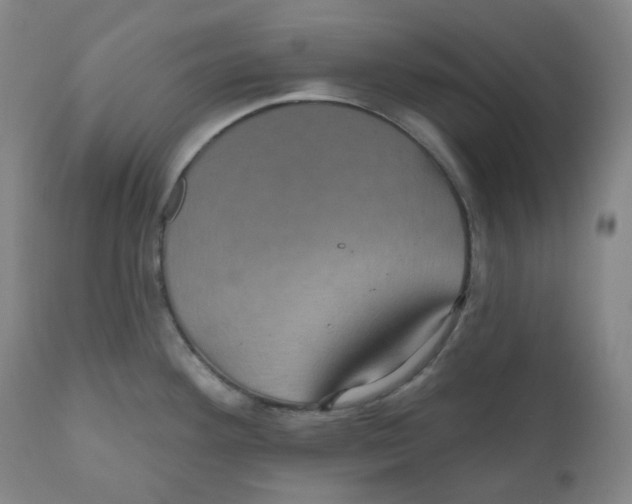 X0000110701292200907101212