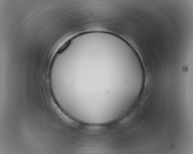 X0000110701293200907101212