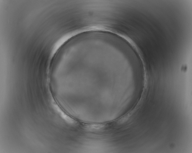 X0000110701294200907101212