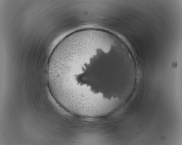 X0000110701295200907101212