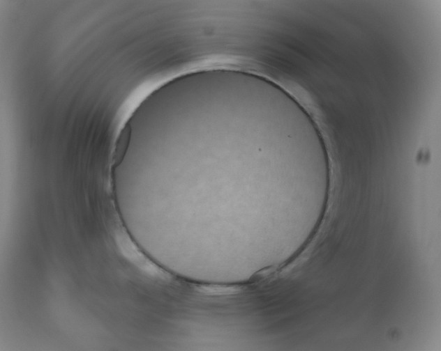 X0000110701296200907101212