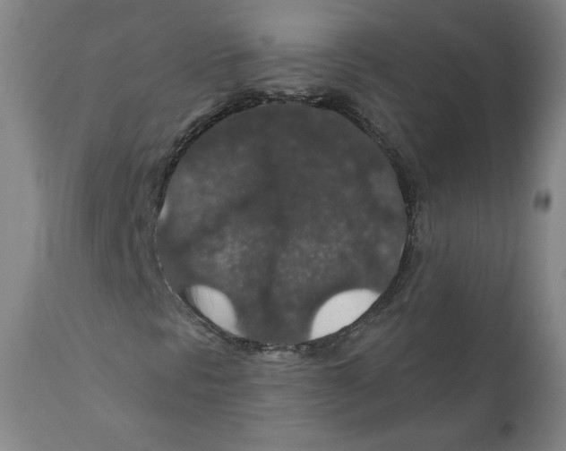 X0000110701297200907101211