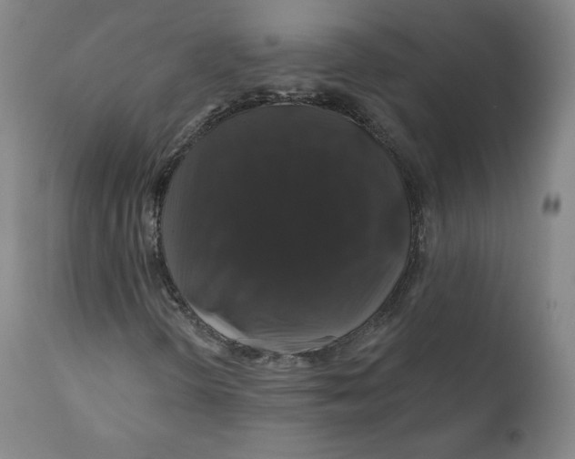 X0000110701298200907101211