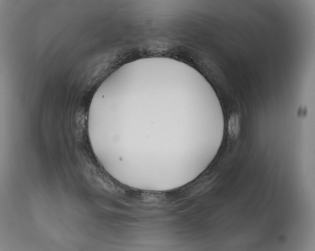 X0000110701299200907101211