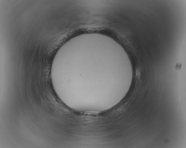 X0000110701300200907101211