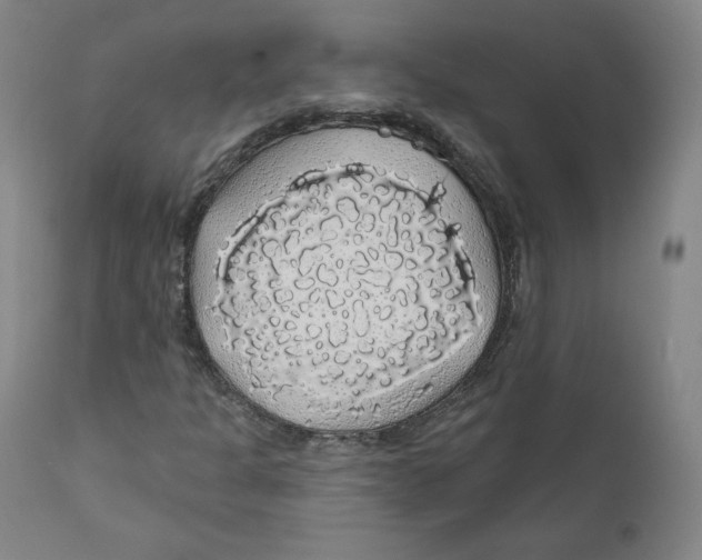 X0000110701301200907101211