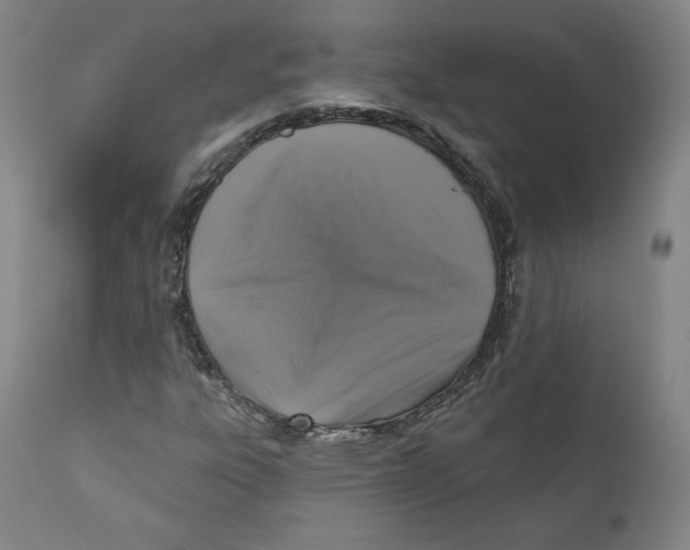 X0000110701303200907101211