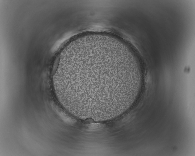 X0000110701304200907101211
