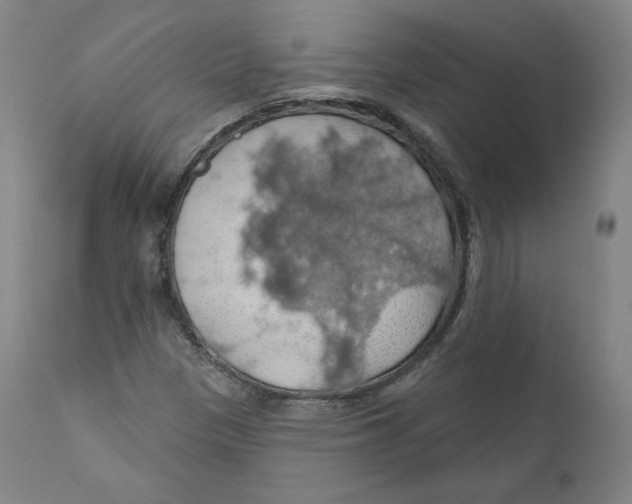 X0000110701305200907101211