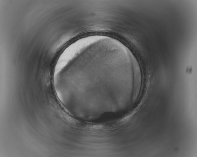 X0000110701306200907101211