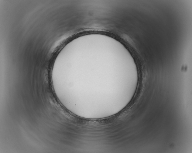 X0000110701307200907101211