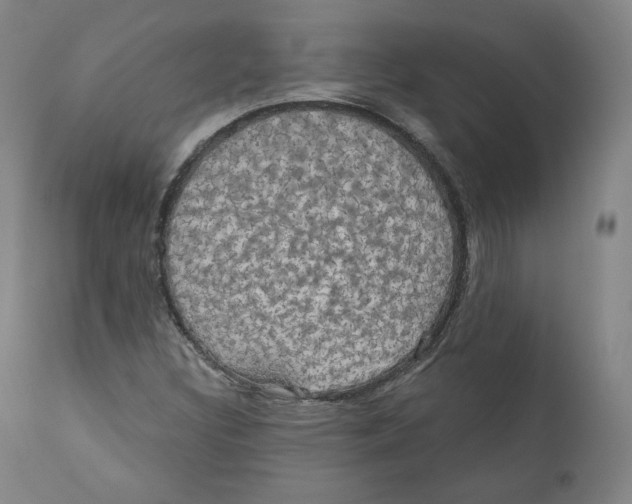 X0000110701308200907101211