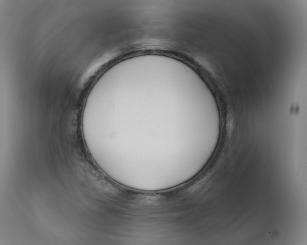 X0000110701309200907101211