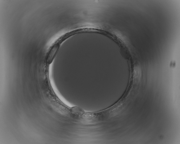 X0000110701310200907101211