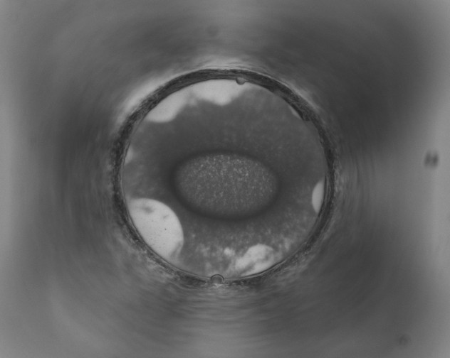 X0000110701311200907101211