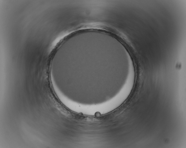 X0000110701312200907101211