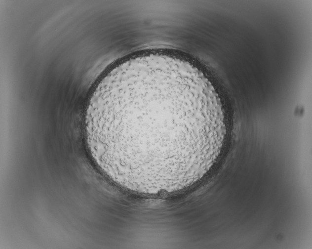 X0000110701313200907101211