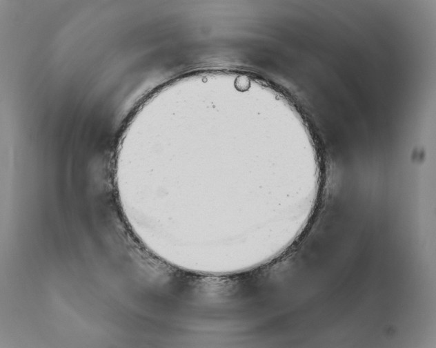 X0000110701314200907101211